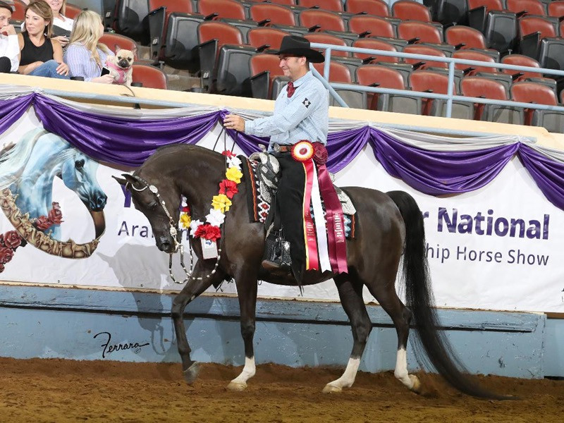 2021 midsummer national reserve western