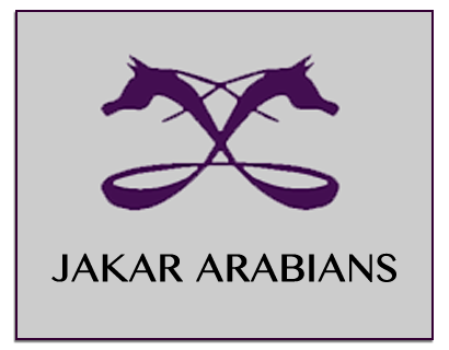 Jakar Arabians