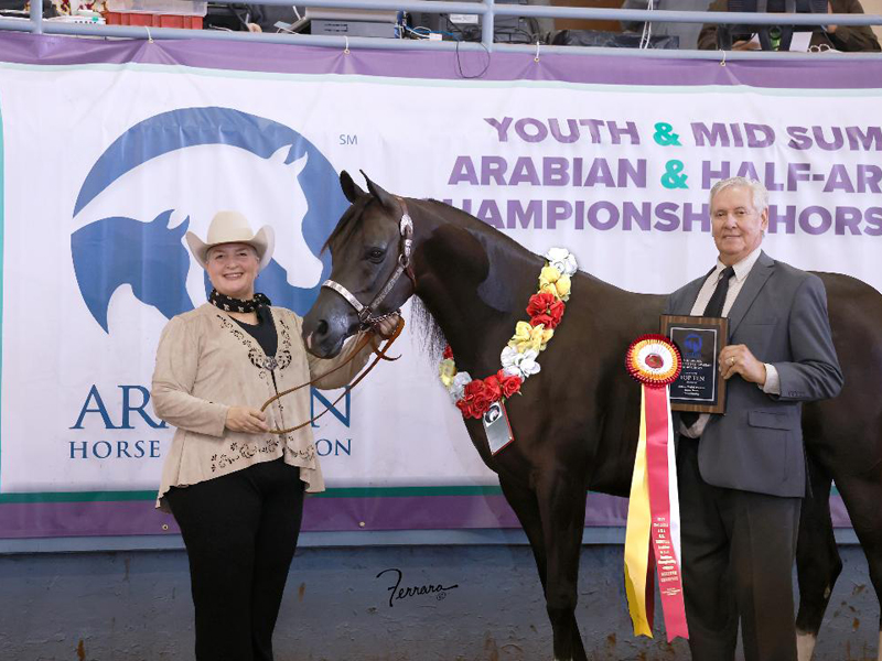 2021 Midsummer Nationals - Black Orchid with owner
